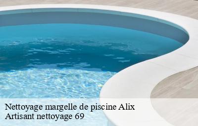 Nettoyage margelle de piscine  alix-69380 Artisant nettoyage 69