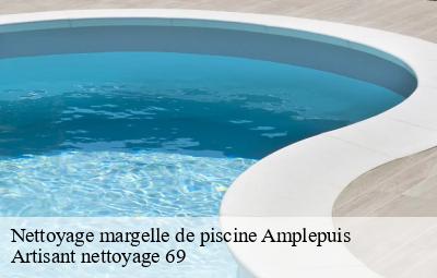 Nettoyage margelle de piscine  amplepuis-69550 Artisant nettoyage 69