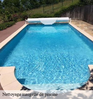 Nettoyage margelle de piscine  amplepuis-69550 Artisant nettoyage 69