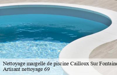 Nettoyage margelle de piscine  cailloux-sur-fontaines-69270 Artisant nettoyage 69