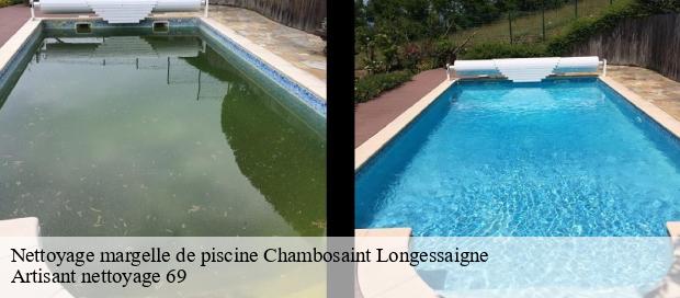 Nettoyage margelle de piscine  chambosaint-longessaigne-69770 Artisant nettoyage 69