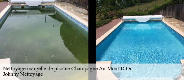 Nettoyage margelle de piscine  champagne-au-mont-d-or-69410 Johnny Nettoyage 