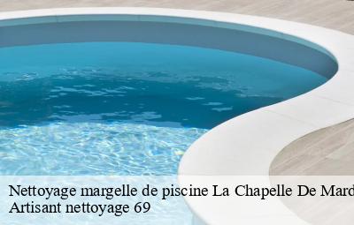 Nettoyage margelle de piscine  la-chapelle-de-mardore-69240 Artisant nettoyage 69