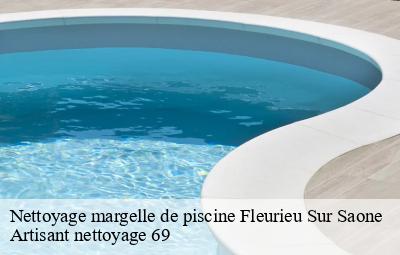 Nettoyage margelle de piscine  fleurieu-sur-saone-69250 Artisant nettoyage 69