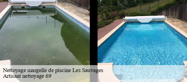 Nettoyage margelle de piscine  les-sauvages-69170 Artisant nettoyage 69