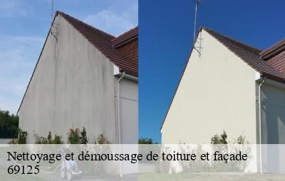 Nettoyage et démoussage de toiture et façade  satolas-aeroport-69125 Artisant nettoyage 69