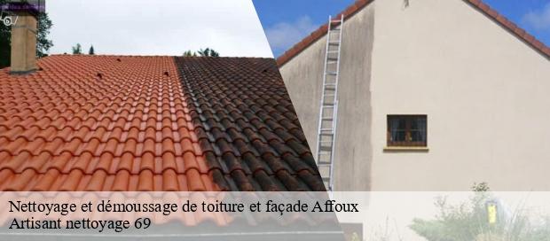 Nettoyage et démoussage de toiture et façade  affoux-69170 Artisant nettoyage 69