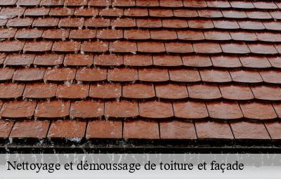 Nettoyage et démoussage de toiture et façade  aigueperse-69790 Artisant nettoyage 69