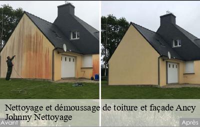 Nettoyage et démoussage de toiture et façade  ancy-69490 Johnny Nettoyage 