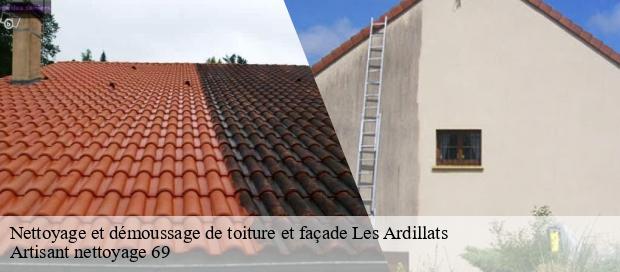 Nettoyage et démoussage de toiture et façade  les-ardillats-69430 Artisant nettoyage 69