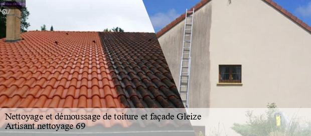 Nettoyage et démoussage de toiture et façade  gleize-69400 Artisant nettoyage 69