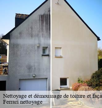 Nettoyage et démoussage de toiture et façade grigny-69520 Ferrari nettoyage