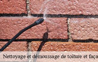 Nettoyage et démoussage de toiture et façade  lissieu-69380 Johnny Nettoyage 