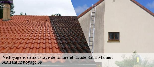 Nettoyage et démoussage de toiture et façade  saint-mamert-69860 Artisant nettoyage 69