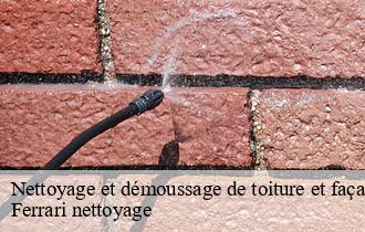 Nettoyage et démoussage de toiture et façade trades-69860 Ferrari nettoyage