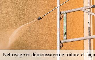 Nettoyage et démoussage de toiture et façade dargoire-69440 Ferrari nettoyage