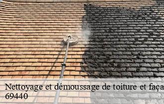 Nettoyage et démoussage de toiture et façade la-flachere-69440 Ferrari nettoyage