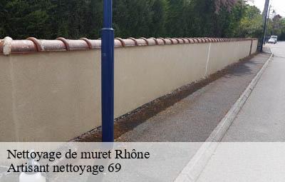 Nettoyage de muret 69 Rhône  Artisant nettoyage 69