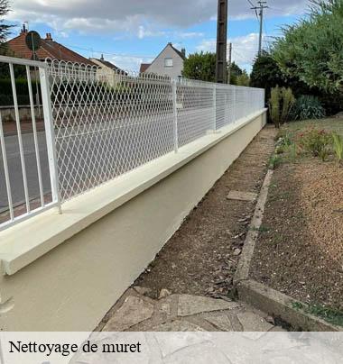 Nettoyage de muret 69 Rhône  Artisant nettoyage 69