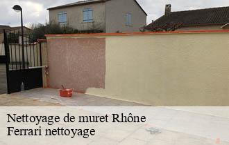 Nettoyage de muret 69 Rhône Ferrari nettoyage