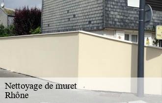 Nettoyage de muret 69 Rhône Ferrari nettoyage