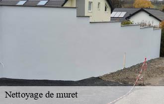 Nettoyage de muret 69 Rhône Ferrari nettoyage