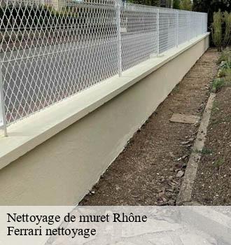 Nettoyage de muret 69 Rhône Ferrari nettoyage