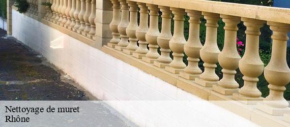 Nettoyage de muret 69 Rhône Ferrari nettoyage