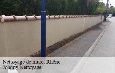 Nettoyage de muret 69 Rhône  Johnny Nettoyage 