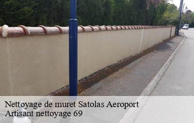 Nettoyage de muret  satolas-aeroport-69125 Artisant nettoyage 69