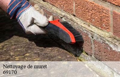 Nettoyage de muret  affoux-69170 Artisant nettoyage 69