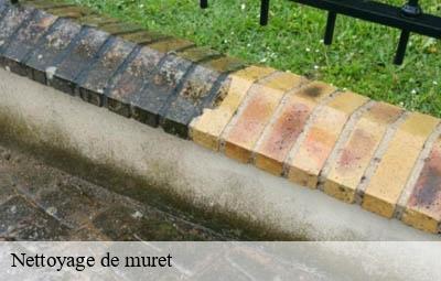 Nettoyage de muret  affoux-69170 Artisant nettoyage 69