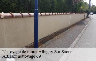 Nettoyage de muret  albigny-sur-saone-69250 Artisant nettoyage 69