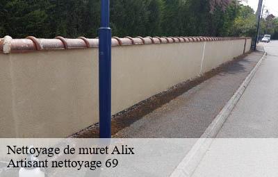 Nettoyage de muret  alix-69380 Artisant nettoyage 69