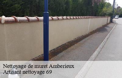 Nettoyage de muret  amberieux-69480 Artisant nettoyage 69