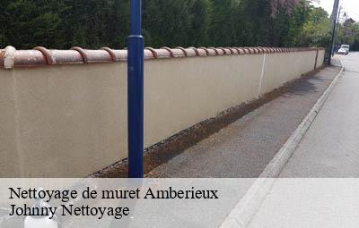 Nettoyage de muret  amberieux-69480 Johnny Nettoyage 