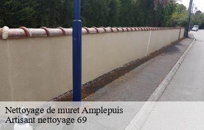 Nettoyage de muret  amplepuis-69550 Artisant nettoyage 69