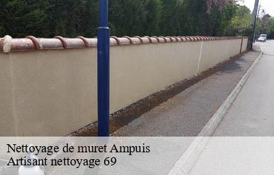 Nettoyage de muret  ampuis-69420 Artisant nettoyage 69