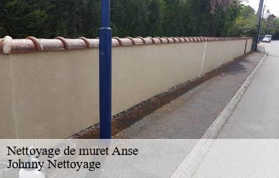 Nettoyage de muret  anse-69480 Johnny Nettoyage 