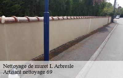 Nettoyage de muret  l-arbresle-69210 Artisant nettoyage 69