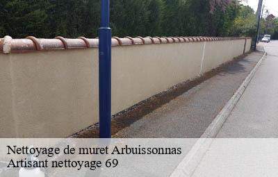 Nettoyage de muret  arbuissonnas-69460 Artisant nettoyage 69