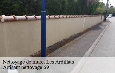 Nettoyage de muret  les-ardillats-69430 Artisant nettoyage 69