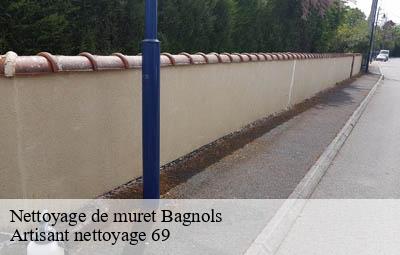 Nettoyage de muret  bagnols-69620 Artisant nettoyage 69