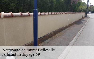 Nettoyage de muret  belleville-69220 Artisant nettoyage 69