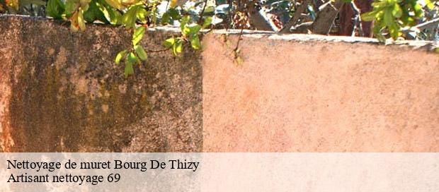 Nettoyage de muret  bourg-de-thizy-69240 Artisant nettoyage 69