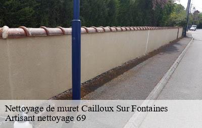 Nettoyage de muret  cailloux-sur-fontaines-69270 Artisant nettoyage 69