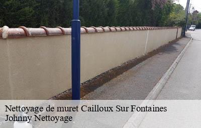 Nettoyage de muret  cailloux-sur-fontaines-69270 Johnny Nettoyage 