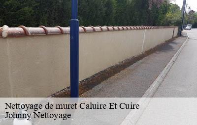 Nettoyage de muret  caluire-et-cuire-69300 Johnny Nettoyage 