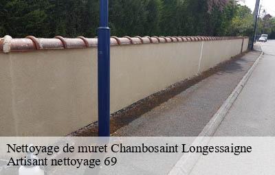 Nettoyage de muret  chambosaint-longessaigne-69770 Artisant nettoyage 69