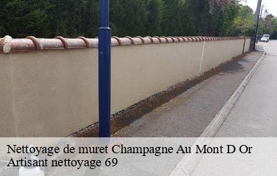 Nettoyage de muret  champagne-au-mont-d-or-69410 Artisant nettoyage 69